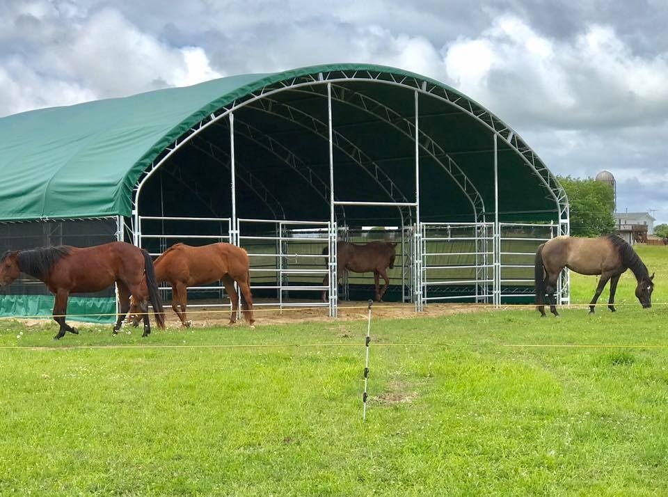 How to Choose the Right Portable Livestock Shelter for Your Farm